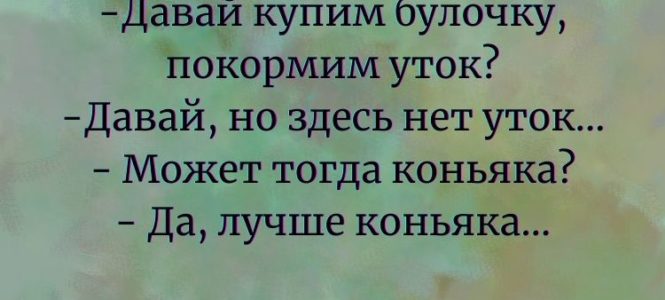 Юмор: Покормим уточек…